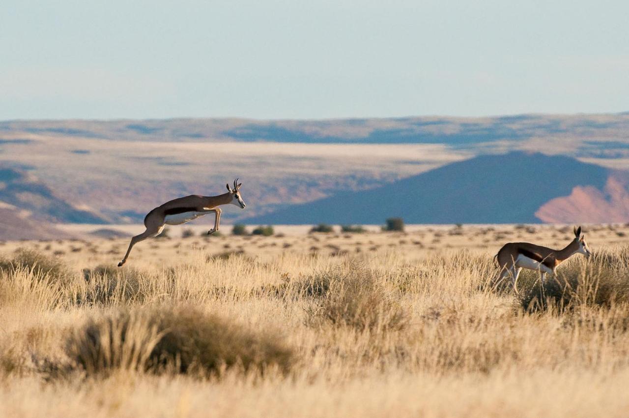 Wilderness Safaris Kulala Desert Lodge Sesriem Dış mekan fotoğraf
